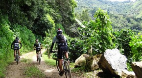 La Ruta de los Conquistadores [Race Profile]
