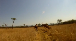 Evan van der Spuy (Mountain Biker) Taken Out by African Buck