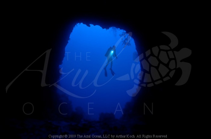 2009 Solomon Islands Diver at Twin Tunnels
