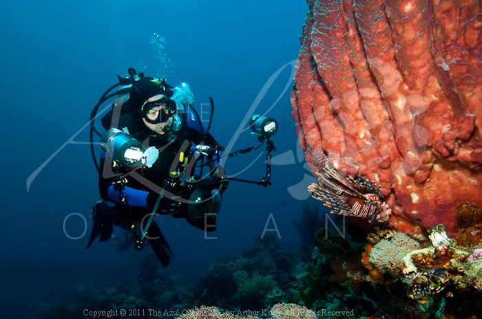 2011 Wakatobi - Diver with Common lionfish Pterois volitans