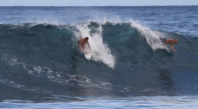 Surfing Vacation in Hawaii