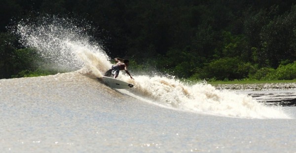 Surfing the Amazon Surfing the Amazon