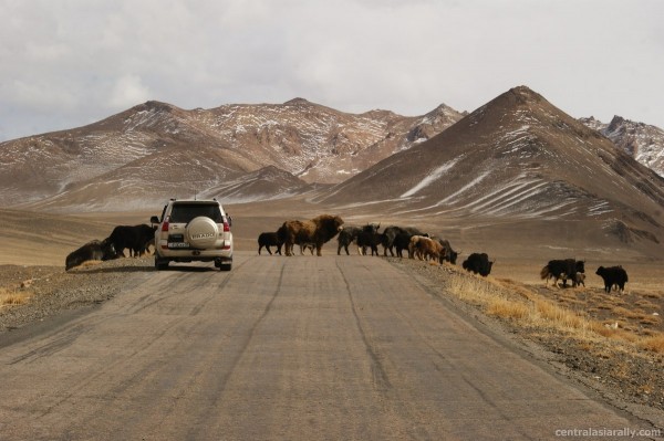 Central-Asia-Rally Central Asia Rally