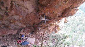 Matt Samet: Fighting Drugs with Rocks