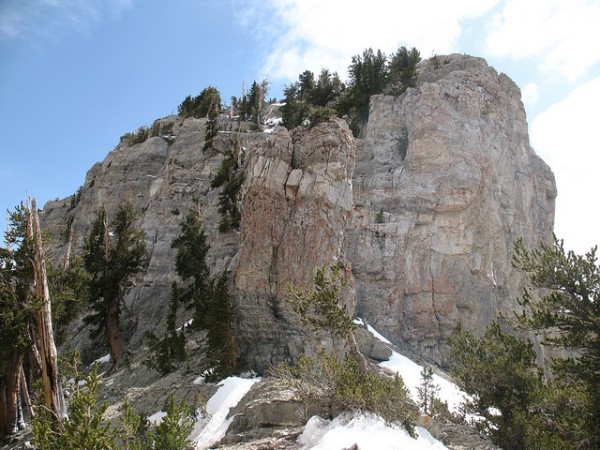 las vegas day hikes in mount charleston