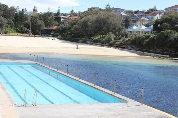 clovelly beach top 5 beaches in sydney