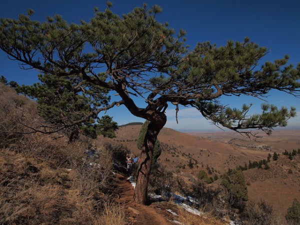 mount galbraith loop hiking denver
