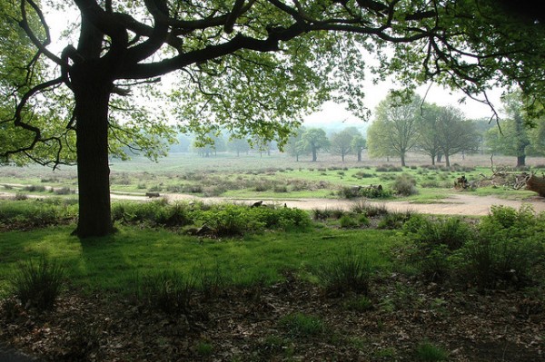 5 bet day hikes near london richmond park