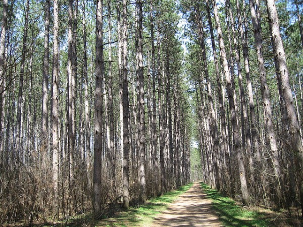 5 best mountain biking trails near chicago south kettle moraine