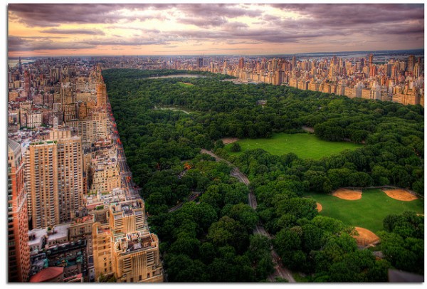 10 action sports for nyc residents central park