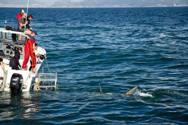 8 best cities for extreme tourism cape town