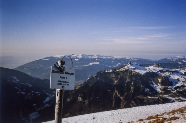 wengen switzerland toboggan rides