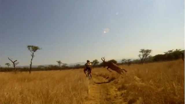 Mountain Biker in Africa Taken Out by Buck