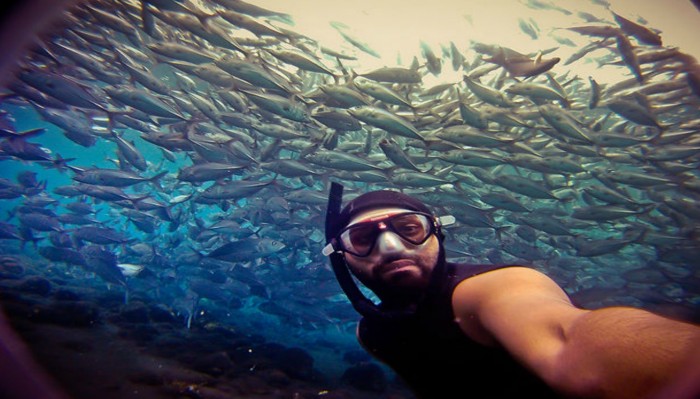 Freedive The World