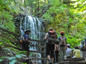 hiking at berry creek 5 best day hikes in san francisco