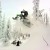 Reagan Sieg Shreds On A Timbersled Snowbike